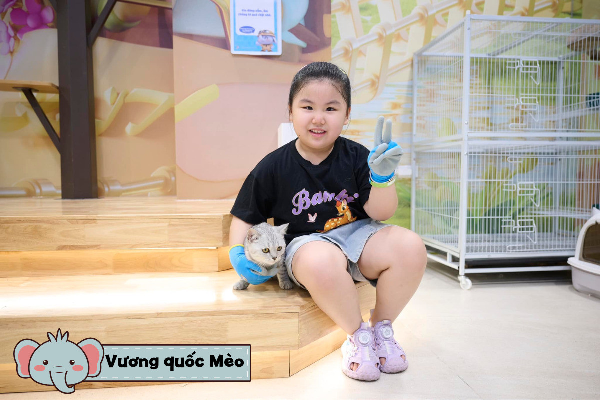 Bé gái vui vẻ vuốt ve chú mèo đáng yêu tại Vương Quốc Mèo của vườn thú chú voi con Royal City