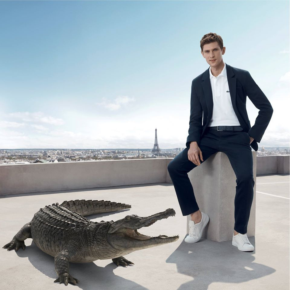 Biểu tượng cá sấu xanh của Lacoste nổi bật trên sản phẩm tại Việt Nam