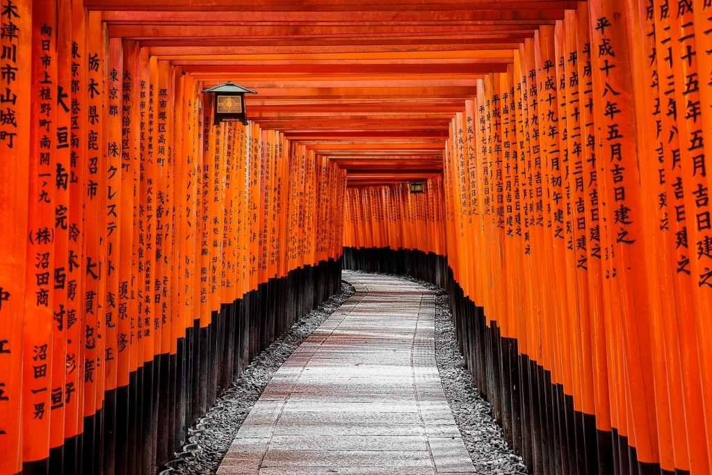 Hàng ngàn cổng torii xếp dọc ở Fushimi Inari Taisha, một địa danh nổi tiếng Nhật Bản