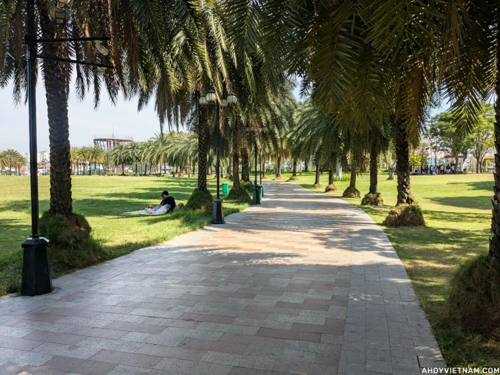 Lối đi lát đá qua những hàng cọ và người dân thư giãn tại Công viên Central Park