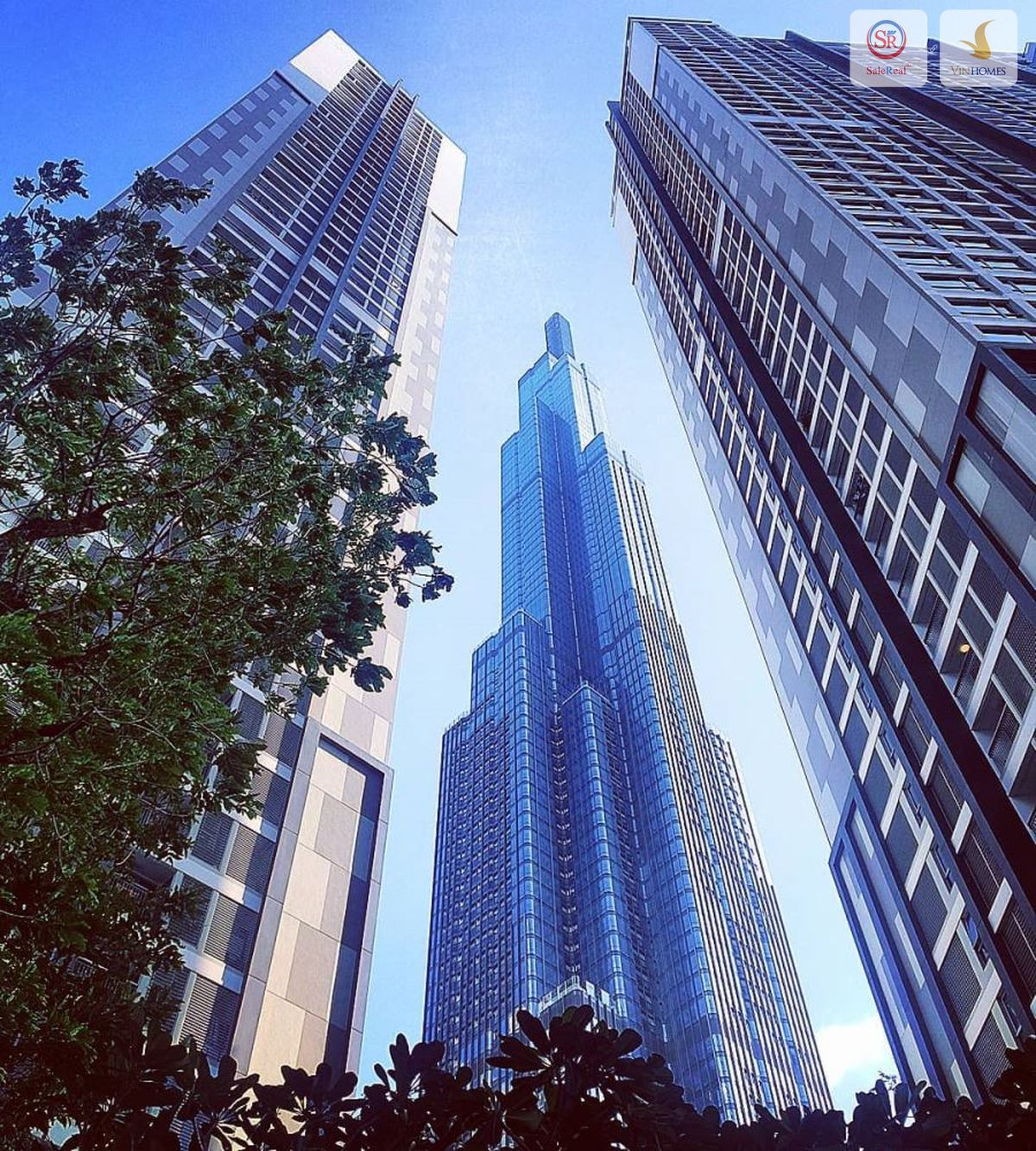 Nét độc đáo trong thiết kế kiến trúc Landmark 81 lấy cảm hứng từ tre