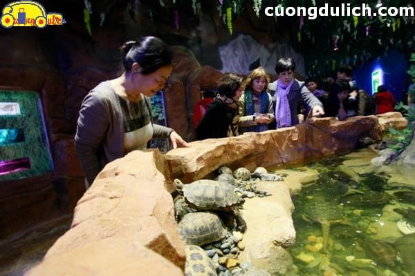 Người huấn luyện tương tác với bò sát tại show diễn ở thủy cung Vincom Times City