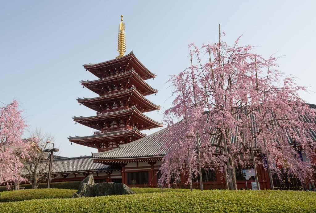 Toàn cảnh chùa Senso-ji với ngôi bảo tháp biểu tượng, một địa danh nổi tiếng Nhật Bản