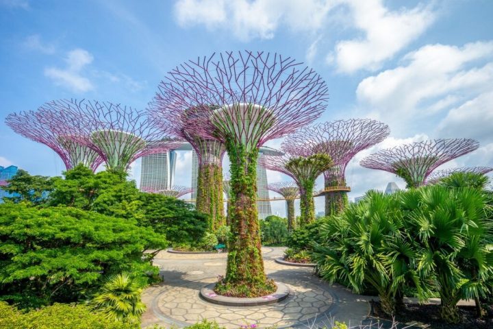 Toàn cảnh Gardens by the Bay, một trong những điểm đến nổi tiếng ở Singapore