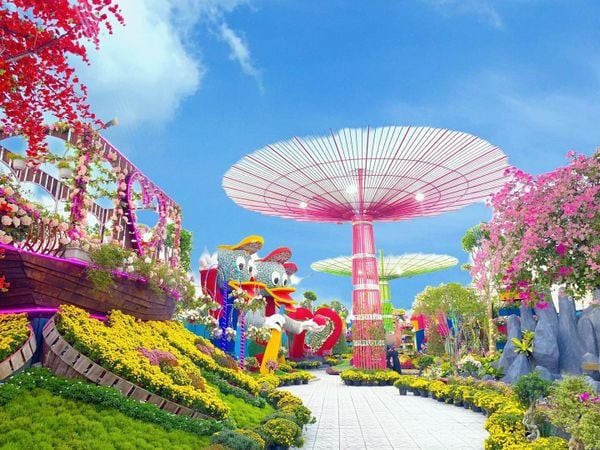 Wonderland Cần Thơ - Xứ sở thần tiên đầy hoa tươi một trải nghiệm mới