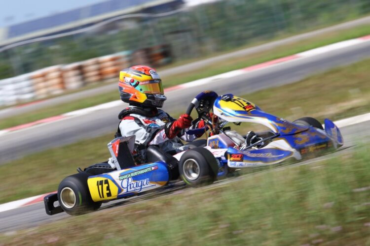Các mẫu xe go-kart đa dạng sẵn sàng cho cuộc đua gay cấn