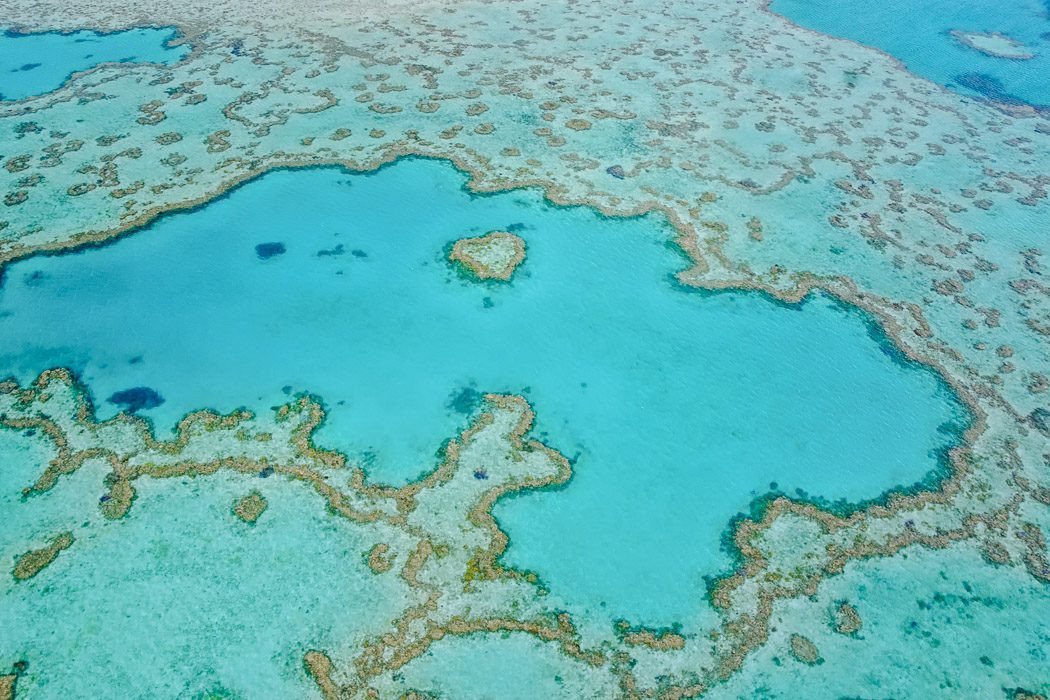 Cảnh nhìn từ trên cao của Rạn San Hô Great Barrier Reef