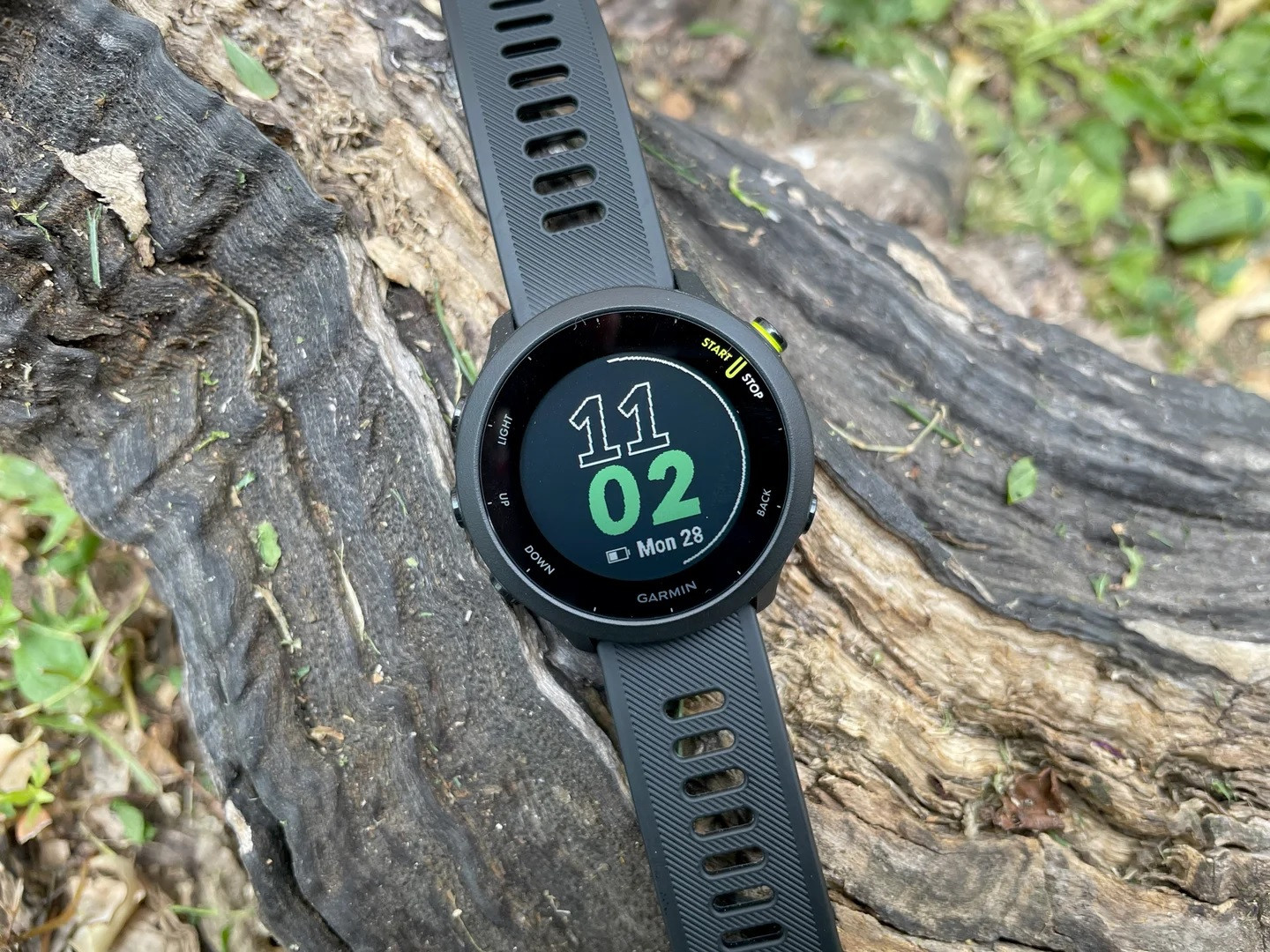 Đồng hồ Garmin Forerunner 55 cho người mới