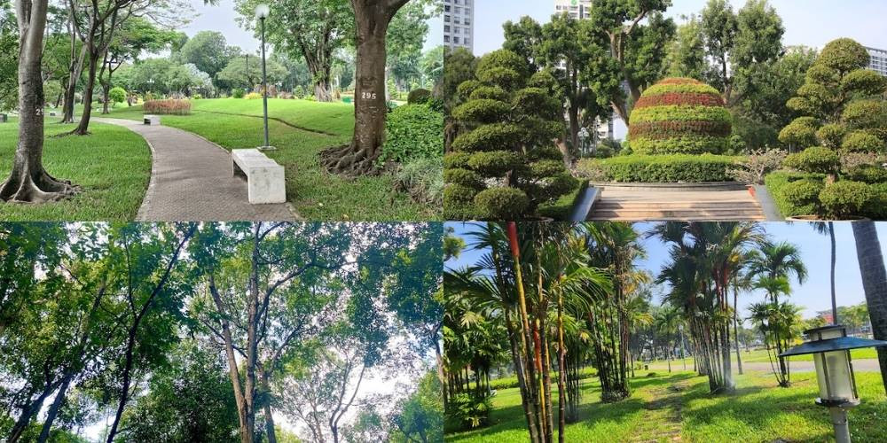 Photos Công viên Gia Định xanh mát, điểm đến thư giãn gần Vincom Phan Văn Trị tại Gò Vấp