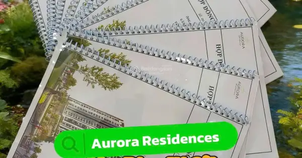 Đánh Giá Chi Tiết Dự Án Aurora Quận 8: Căn Hộ Cao Cấp Có Thực Sự Đáng "đồng Tiền Bát Gạo"?