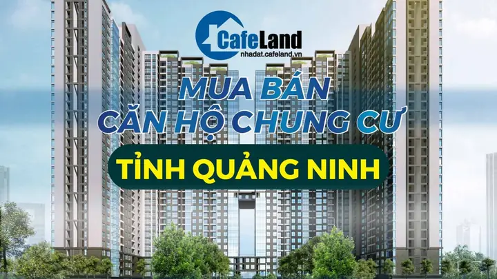 Top 5 Tiêu Chí Đánh Giá Và So Sánh Giá Bán Chung Cư Bãi Cháy Giúp Bạn Lựa Chọn Tối Ưu Năm 2026