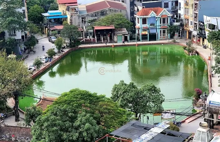Đánh Giá Chi Tiết Thị Trường Bán Chung Cư Mini Triều Khúc: Top 3 Dự Án Tiềm Năng Nhất Năm 2026