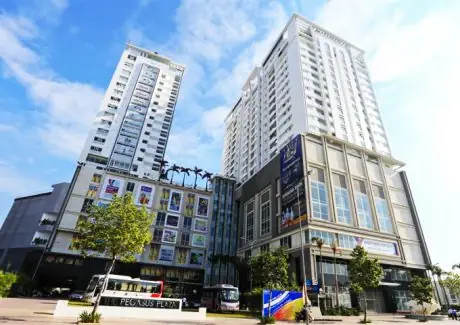 Đánh Giá Chi Tiết Và Lựa Chọn Căn Hộ Tại Khu Phức Hợp Pegasus Complex Biên Hòa
