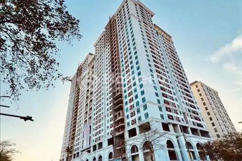 Đánh Giá Chi Tiết Thị Trường Bán Chung Cư Thái Bình: Top 5 Dự Án Nổi Bật Năm 2025