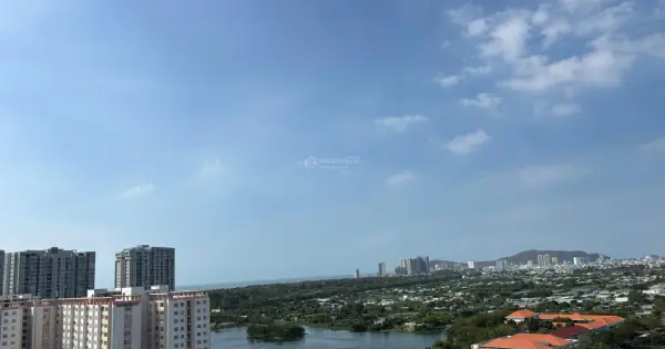 Đánh Giá Chi Tiết Thị Trường Bán Chung Cư Vũng Tàu: Top 5 Dự Án Đáng Đầu Tư Nhất Năm 2026