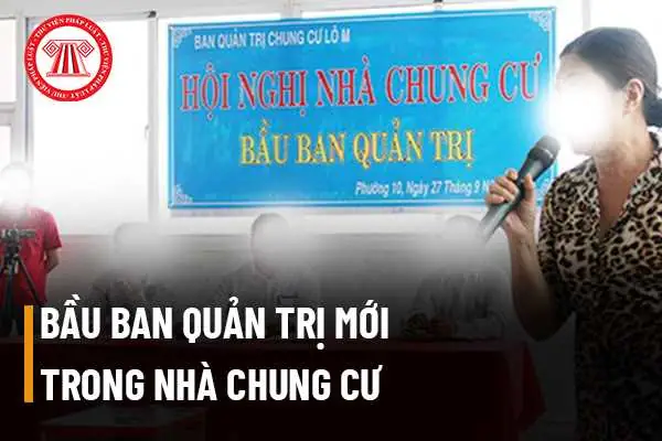 Bầu Trưởng Ban Quản Trị Nhà Chung Cư: Quy Trình, Quyền Hạn Và Trách Nhiệm Pháp Lý