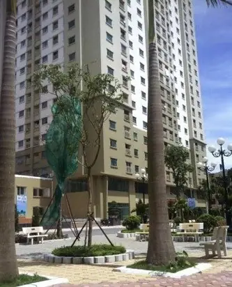 Đánh Giá Chi Tiết Dịch Vụ Cho Thuê Chung Cư 125d Minh Khai: Lựa Chọn Tối Ưu Cho Cư Dân Thành Thị