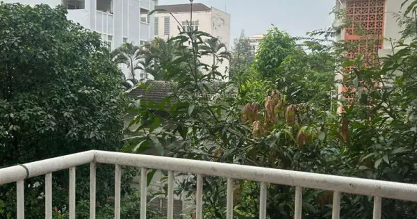 Đánh Giá Chi Tiết Chung Cư Hưng Vượng 1: Có Nên Thuê Hay Không?