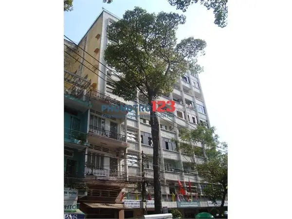 Top 5 Tiêu Chuực Lựa Chọn Cho Thuê Chung Cư Nguyễn Thái Bình Quận 1