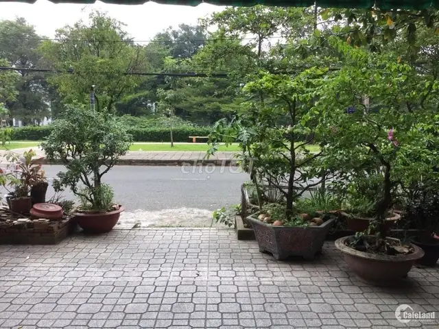 Đánh Giá Chi Tiết Các Lựa Chọn Cho Thuê Tầng Trệt Chung Cư Tây Thạnh Cho Mục Đích Kinh Doanh Và An Cư
