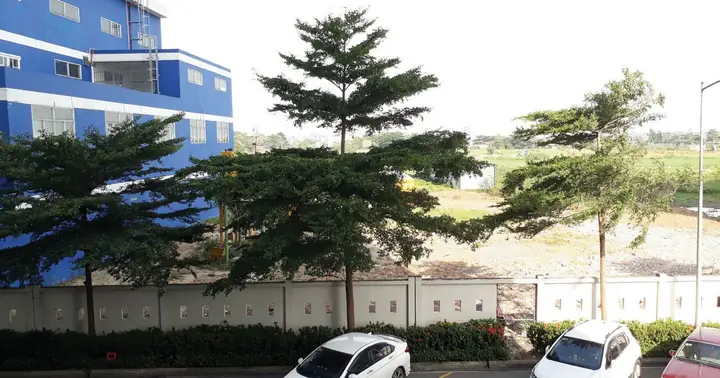Đánh Giá Chi Tiết Chung Cư 12 View Tín Phong: Vị Trí, Tiện Ích Và Giá Trị Thực