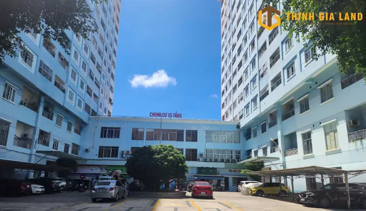 Top 10+ Chung Cư 15 Tầng Ở Vũng Tàu: Review Chi Tiết Vị Trí, Giá Thuê & Căn Hộ
