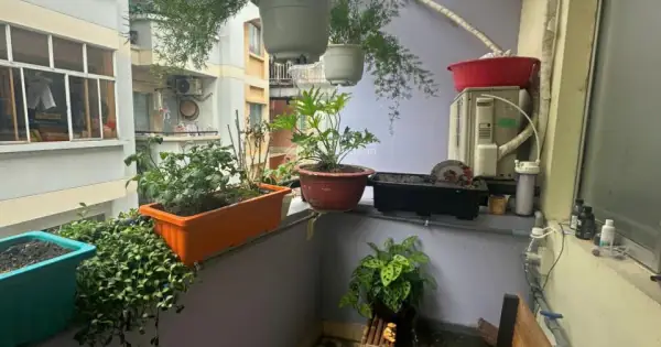Đánh Giá Chi Tiết Chung Cư Cây Da Sà: Vị Trí, Tiện Ích Và Giá Trị Thực Tế