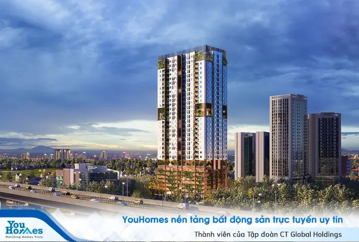Top 10+ Chung Cư Cho Người Độc Thân Tốt Nhất: Chi Phí Thấp, Vị Trí Đắc Địa