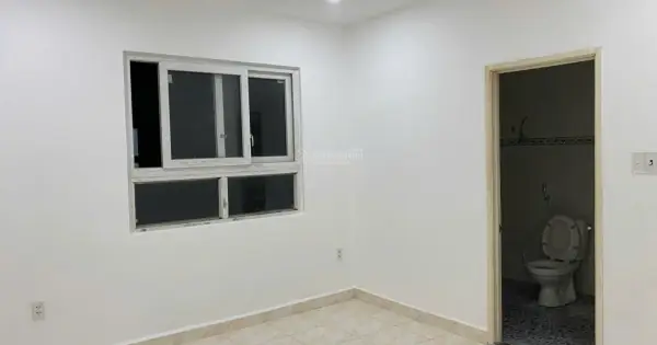Đánh Giá Chi Tiết Chung Cư Đại Thành Tân Phú: Có Nên Chọn An Cư Tại Đây?