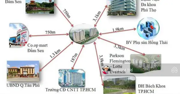 Đánh Giá Chi Tiết Tiềm Năng Đầu Tư Và An Sinh Tại Các Dự Án Chung Cư Đường Trịnh Đình Thảo