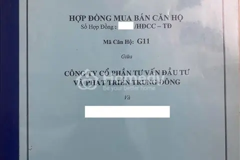 Đánh Giá Chi Tiết Tiềm Năng Đầu Tư Và An Sinh Tại Các Dự Án Chung Cư Đường Trịnh Đình Thảo