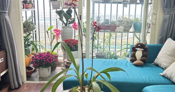 Tìm Hiểu Thông Tin Chi Tiết Về Chung Cư Ecohome Phúc Lợi Và Địa Chỉ Cụ Thể