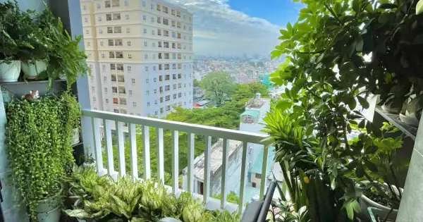 Đánh Giá Chi Tiết Chung Cư Hà Đô Z751: Vị Trí, Tiện Ích Và Giá Trị Đầu Tư