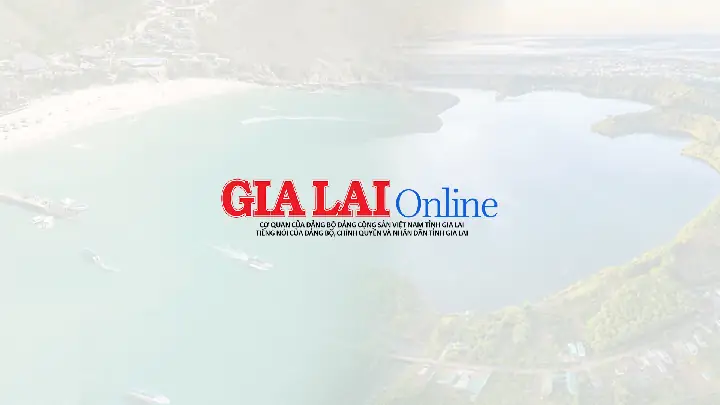 Tìm Hiểu Chung Cư Long Thịnh Quy Nhơn: Vị Trí, Tiện Ích Và Giá Thuê Cập Nhật Mới Nhất