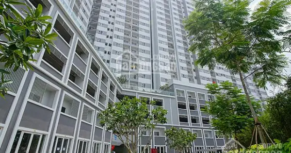 Đánh Giá Chi Tiết Chung Cư Moonlight Quận 6: Có Thực Sự Là Lựa Chọn Đáng Tiền?