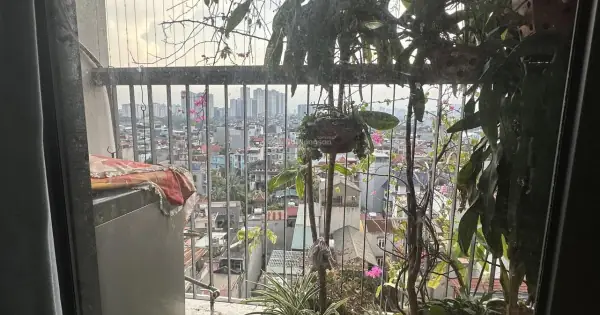 Tìm Hiểu Về Chung Cư Nguyễn Cảnh Dị: Vị Trí, Tiện Ích Và Các Dự Án Nổi Bật