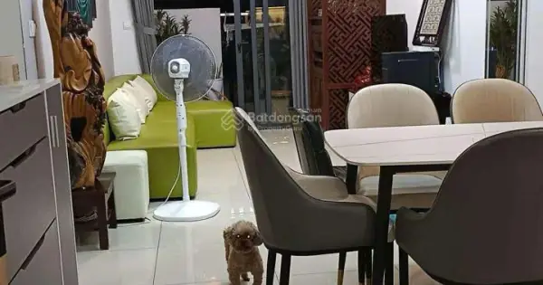 Đánh Giá Chi Tiết Chung Cư Phú Nhuận Đường Nguyễn Thượng Hiền