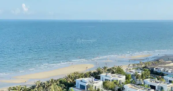 Đánh Giá Chi Tiết Các Dự Án Chung Cư Tại Phường 10, Vũng Tàu