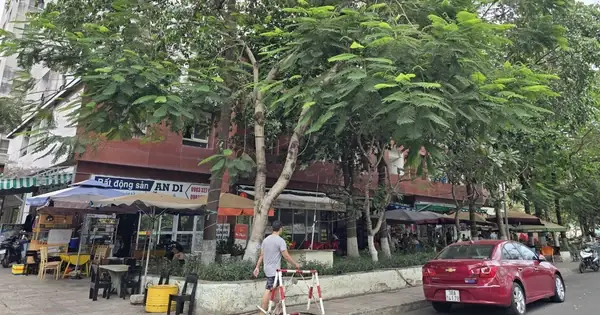 Đánh Giá Chi Tiết Chung Cư Thái An 3: Vị Trí, Tiện Ích Và Giá Trị Sống Thực Tế