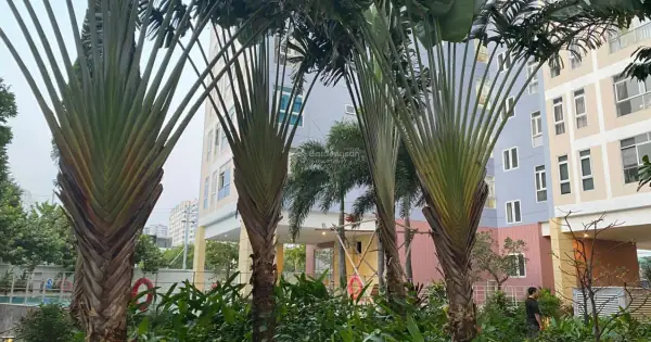 Đánh Giá Chi Tiết Dự Án Chung Cư Valeo Đầm Sen: Vị Trí, Tiện Ích Và Tiềm Năng Đầu Tư