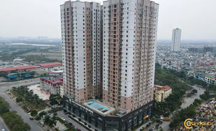 Đánh Giá Chi Tiết Dự Án Chung Cư Xuân Mai Tô Hiệu: Căn Hộ Thực Tế Có Đáng “xuân Mai” Như Lời Đồn?