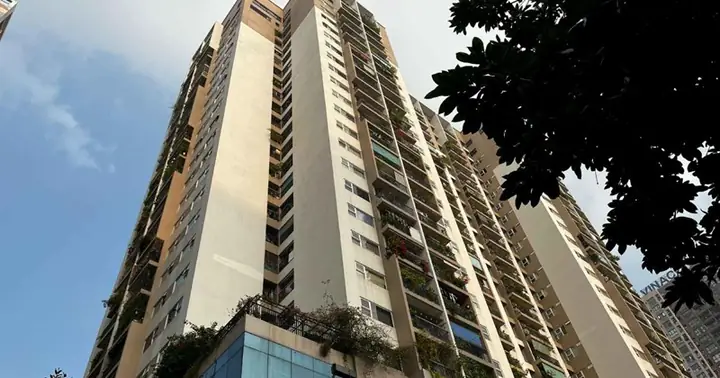 Có 3 Tỷ Nên Mua Nhà Đất Hay Chung Cư? Đánh Giá Chi Tiết Từ Chuyên Gia