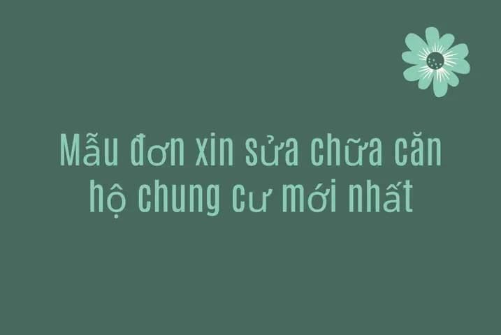 Đơn Xin Sửa Chữa Nhà Chung Cư: Quy Trình Chuẩn Và Những Lưu Ý Quan Trọng