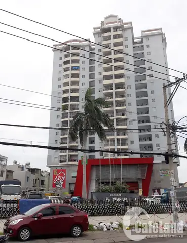 Hồ Bơi Chung Cư Phú Thạnh: Tiện Ích Nổi Bật Và Những Điều Cần Biết Cho Cư Dân