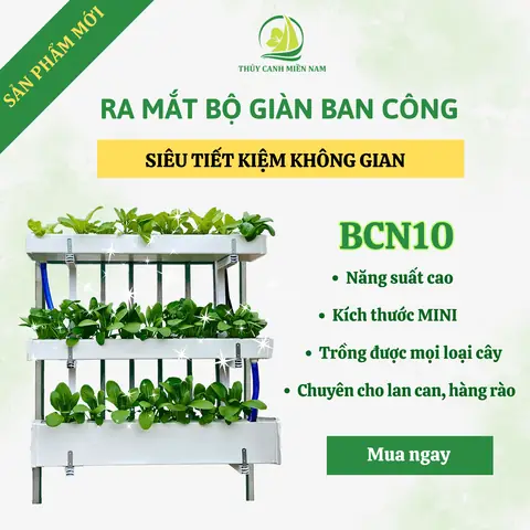 Top 10 Kệ Trồng Rau Ban Công Chung Cư Tốt Nhất, Tiết Kiệm Diện Tích 2026