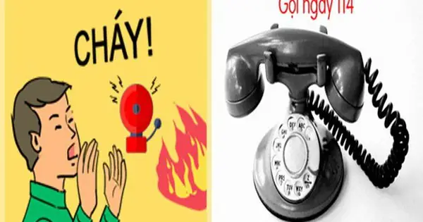 Làm Gì Khi Cháy Chung Cư: Hướng Dẫn Chi Tiết Các Bước Xử Lý An Toàn