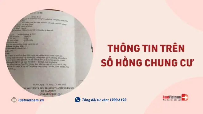 Top 5 Mẫu Sổ Hồng Chung Cư Phổ Biến Và Chi Tiết Nhất Hiện Nay