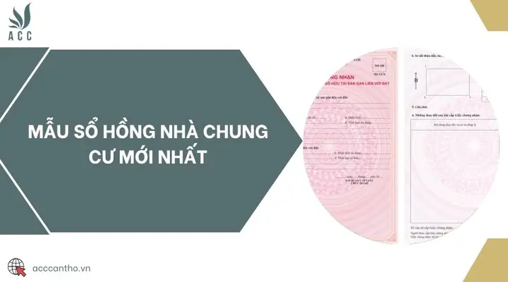 Top 5 Mẫu Sổ Hồng Chung Cư Phổ Biến Và Chi Tiết Nhất Hiện Nay