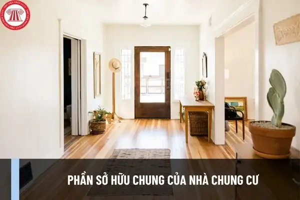Tìm Hiểu Chi Tiết Về Phần Sở Hữu Chung Trong Nhà Chung Cư: Quy Định Và Thực Tiễn