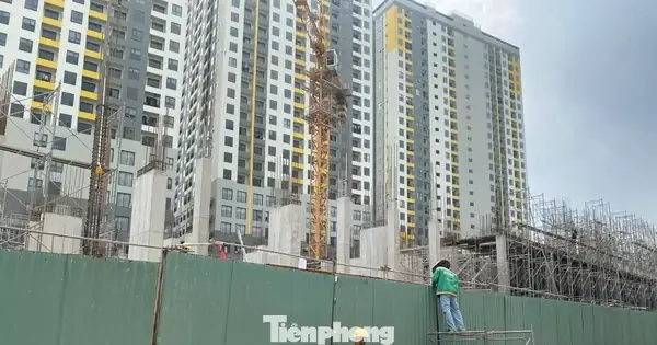 Quy Định Về Diện Tích Căn Hộ Chung Cư Mới Nhất Năm 2026